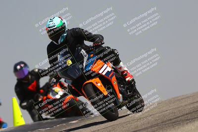 media/Aug-03-2025-TrackDaz (Sun) [[bf4a71acf9]]/C Group/1140am (Grapevine)/